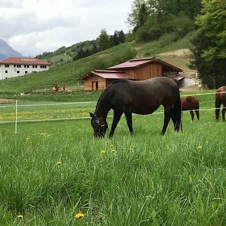 Agriturismo Maso Pertener -Adults Friendly- Комано Терме Екстериор снимка