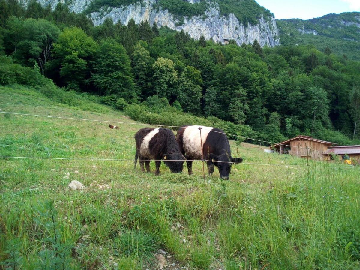 Agriturismo Maso Pertener -Adults Friendly- Комано Терме Екстериор снимка
