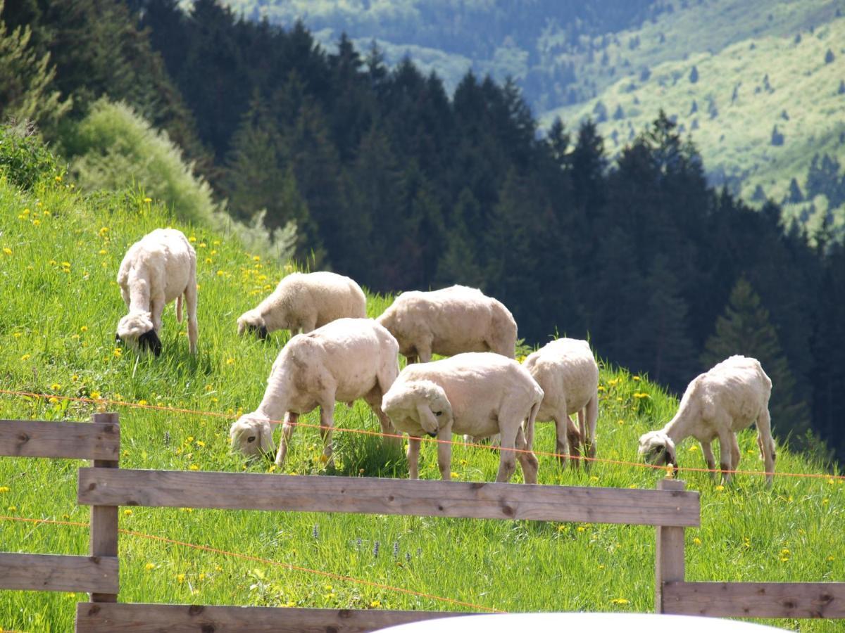 Agriturismo Maso Pertener -Adults Friendly- Комано Терме Екстериор снимка