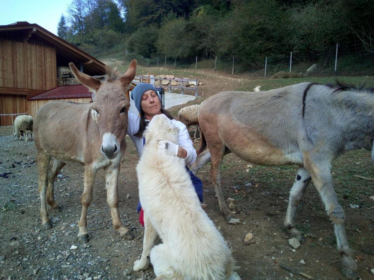 Agriturismo Maso Pertener -Adults Friendly- Комано Терме Екстериор снимка